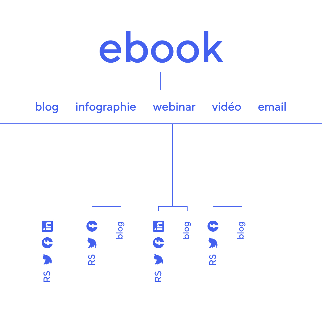 Exemple ebook réseaux sociaux